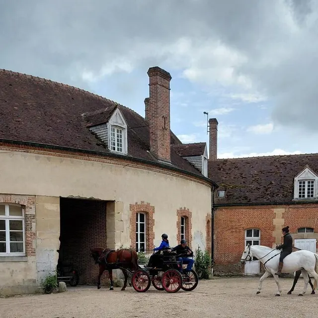 photo une balade gourmande en calèche est notamment proposée avec les attelages de percherons, sur les chemins forestiers.  ©  ouest-france