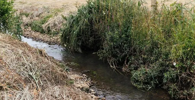 photo  des travaux ont été effectués au ruisseau de londeau, à cerisé (orne).  &copy;  ouest-france 