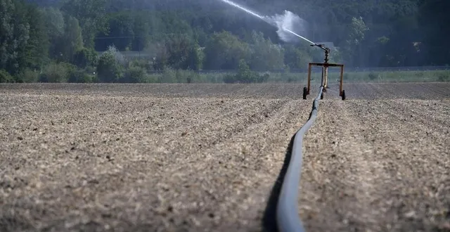 photo  le mois de juin 2025 a été particulièrement sec en maine-et-loire.  &copy;  archives co – josselin clair 