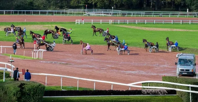 photo  le 3 juillet 2024, juste avant le début d’une réunion pmu à l’hippodrome de nantes, une jument a été attaquée par un chien.  &copy;  archives ouest-france 