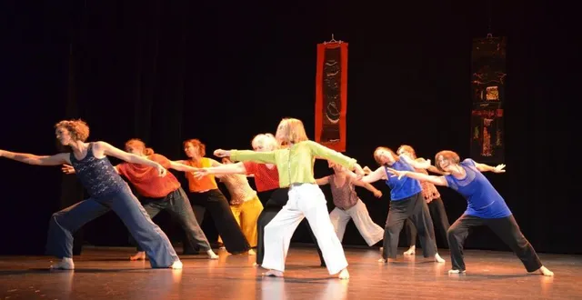 photo  un spectacle de danse original a été proposé au public.  &copy;  co 