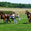 photo le cheval « leo phil », mené par jérôme david, a remporté la victoire.