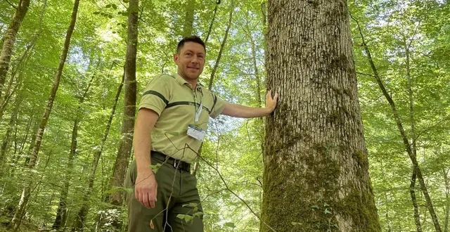 photo  depuis 2016, les enjeux de préservation de la biodiversité à la forêt de bercé font l’objet d’aménagements  &copy;  photo : le maine libre 