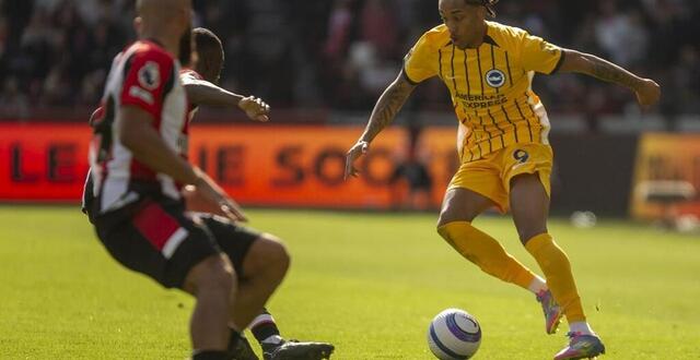 photo joao pedro sous les couleurs de brighton & hove albion face à brentford, le 19 avril 2025. © david watts / afp