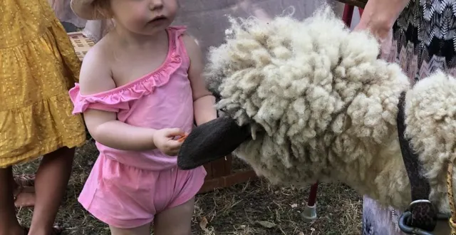 photo  la première rencontre toujours émouvante du jeune enfant, avec le « vrai » animal.  &copy;  ouest-france 