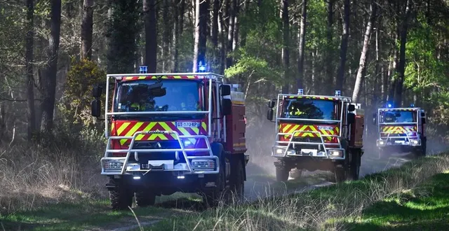 photo  en avril, 75 hectares avaient pris feu dans la foret de la breille-les-pins.  &copy;  josselin clair 