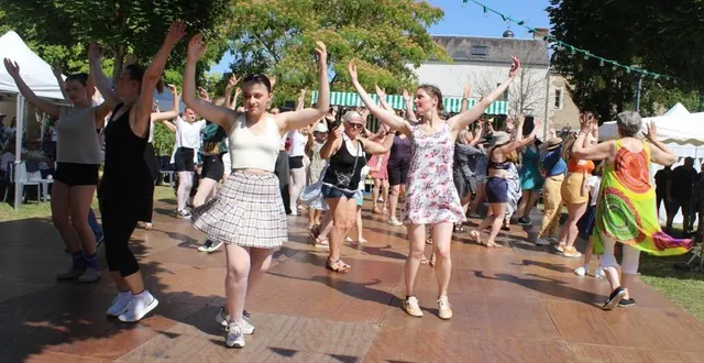 photo  le flashmob a rassemblé une cinquantaine de personnes.  &copy;  le maine libre 