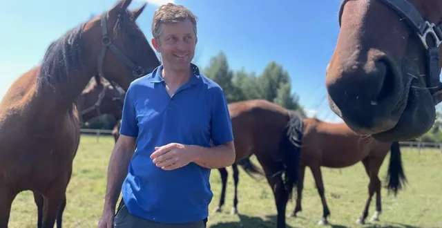 photo  thibault lamare au milieu de pouliches de 2 ans appelées à disputer des courses comme leurs parents.  &copy;  ouest-france 