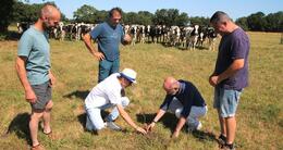 Info insolite  les agriculteurs de sainte-pazanne s’entraînent à compter les bouses pour le premier loto bouse du pays de retz, ce samedi 5 juillet. 