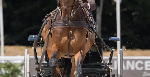 photo  marion vignaud est arrivée première ex-æquo avec tony ecalle de l’épreuve de dressage à un cheval, jeudi 3 juillet 2025.  &copy;  mélanie guillamot 