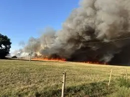 photo  un feu a ravagé six hectares de récolte dans un champ de montreuil-sur-maine, vendredi soir 4 juillet  &copy;  document remis 