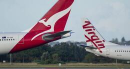 Info insolite  un serpent a été découvert dans la soute de l’avion de virgin australia. 