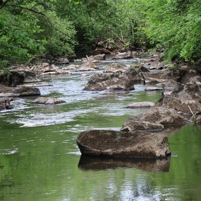 photo lors de la première partie du parcours, vous allez suivre la rouvre.  ©  ouest-france