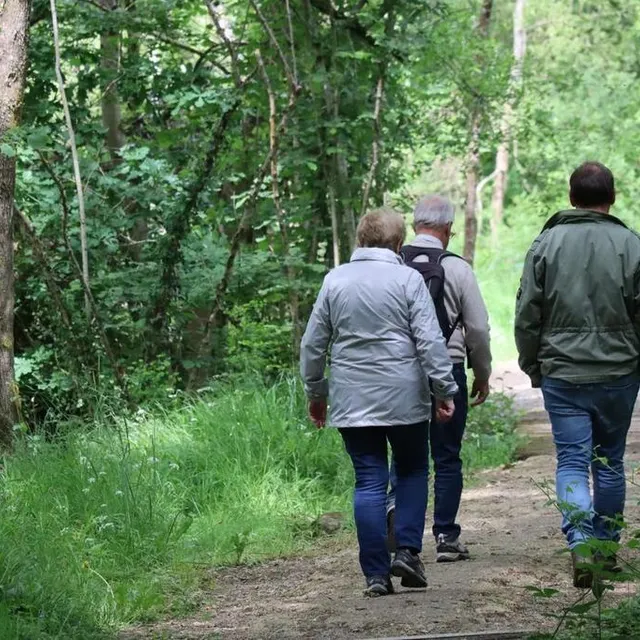 photo la première partie du parcours est à l’abri des arbres.  ©  ouest-france