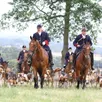 photo plus de 70 équipages, accompagnés de leurs 1 070 chiens, sont attendus pour la fête de la chasse à saint-symphorien, ce dimanche 6 juillet 2025.