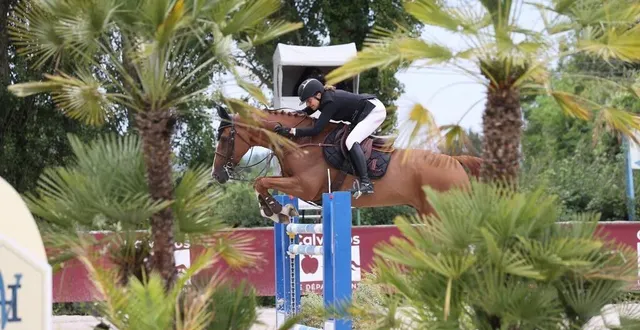 photo  aux rênes de fier de lui du parc, alexandra ledermann s’est offert la victoire sur le pro 1 prix du département du calvados, samedi 5 juillet 2025, au haras de la vallée à notre-dame-d’estrées.  &copy;  ffe / psv 