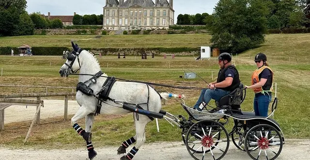 photo  le normand julien delorme est 6e du classement général provisoire « 1 cheval » à l’issue de la deuxième épreuve du concours international 3 étoiles d’attelage, samedi 5 juillet 2025 au haras du pin (orne).  &copy;  miléna le guen 