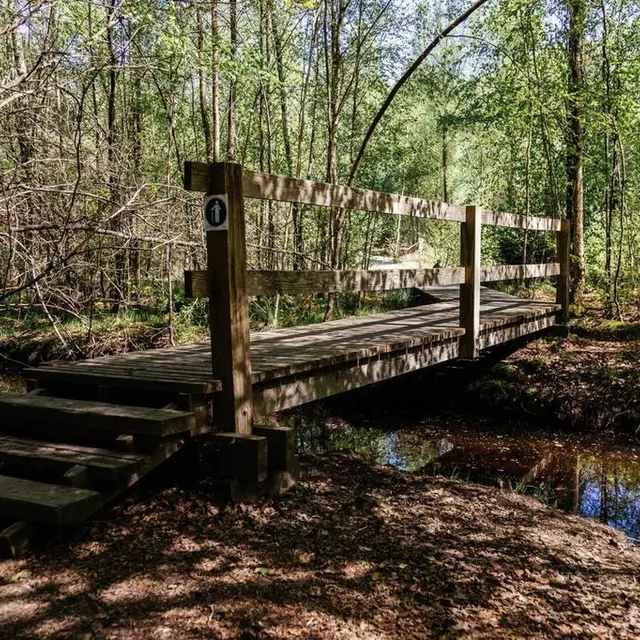 photo le ponton pour enjamber la tourbière.  ©  ouest-france