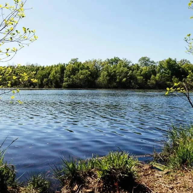 photo l’étang du pré offre une grande quiétude aux promeneurs.  ©  ouest-france
