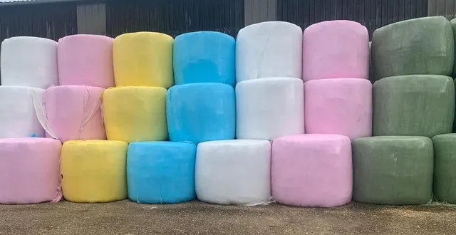 photo  les bottes d’enrubannage sont rassemblées avant répartition. aux trois couleurs qui concernent les maladies se rajoutent des bottes de couleur blanche et vert foncé qui sont les couleurs classiques.  &copy;  ouest-france 