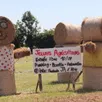 photo des sculptures de paille ont été installées par les jeunes agriculteurs d’athis-val-de-rouvre (orne) pour le passage du tour de france 2025.