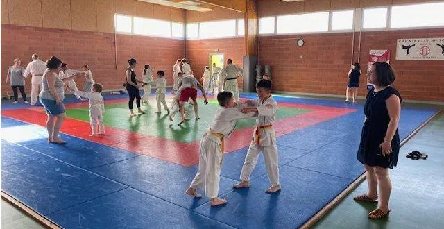 photo  de nombreux jeunes ont été attirés par le karaté cette saison.  &copy;  le maine libre 