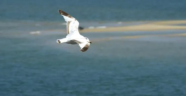 photo  l’année scolaire début le 1er septembre 2025. premières vacances : le 18 octobre.  &copy;  archives presse océan - nathalie bourreau 