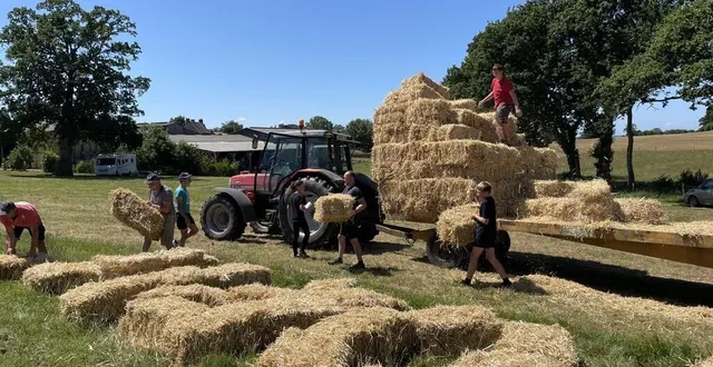 photo  la fédération départementale des syndicats d’exploitants agricoles (fdsea) de l’orne prépare une fresque pour le passage du tour de france, jeudi 10 juillet 2025, au lieu-dit le vivret, dans l’orne.  &copy;  ouest-france 