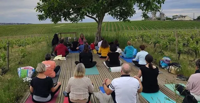 photo  à mi-parcours de la balade en petit train, une séance initiation au yoga sera proposée au cœur des vignes sur les hauteurs du village d’ardennay, face aux moulins.  &copy;  ouest-france 
