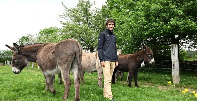 photo  au lieu-dit la boderie, la famille martin-guyonnet a aussi treize ânes.  &copy;  thomas brégardis / ouest-france 