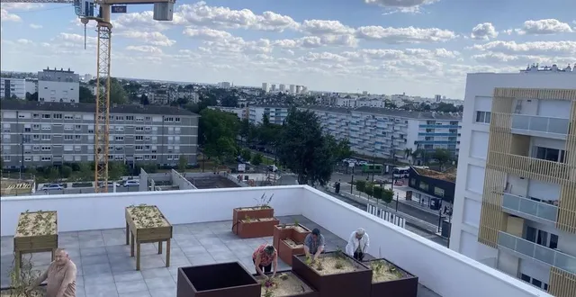 photo  guilaine, alain et maryse lors d’un atelier jardinage, sur le rooftop de la résidence europe dans le quartier monplaisir à angers.  &copy;  ouest france 