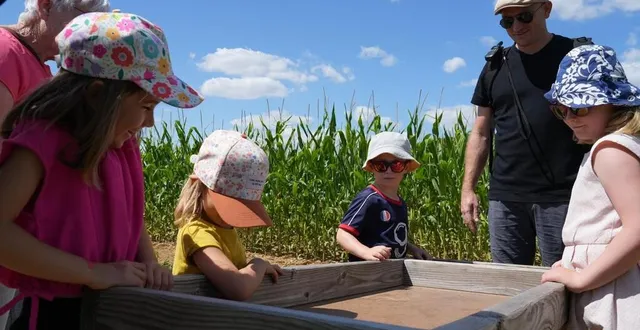 photo  des participants testent les jeux en bois après avoir trouvé leur chemin dans le « pop corn labyrinthe » de trangé, mardi 8 juillet 2025.  &copy;  ouest-france 