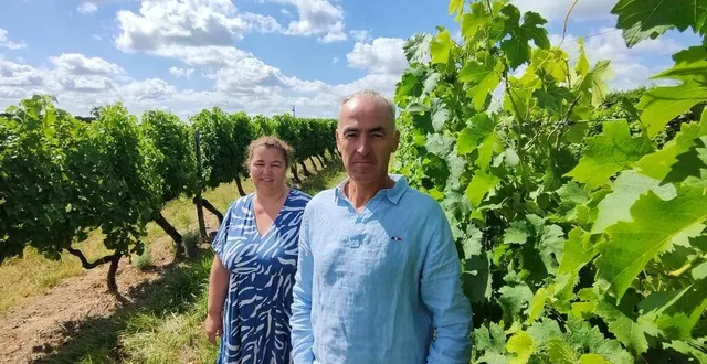 photo  hélène paucet et sylvain brault subissent, comme tous les producteurs de la région, des contraintes de plus en plus fortes sur le recrutement des saisonniers.  &copy;  ouest-france 