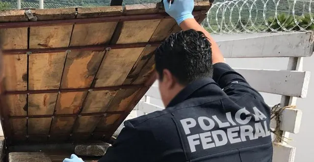 photo  selon le collectif de recherche des disparus, les guerreros buscadores (« les guerriers chercheurs »), 42 sacs contenant des restes humains ont été découverts début juillet dans une propriété de l’état de jalisco. photo d’illustration.  &copy;  especial / notimex / archives afp 