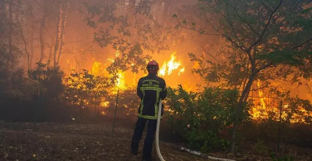 photo  le risque de feux de forêt sera élevé en maine-et-loire, ce vendredi 11 juillet.  &copy;  mathieu pattier / ouest france 