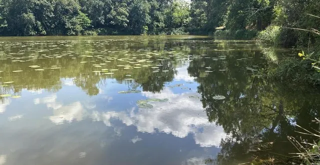 photo  dans le plan d’eau, les pêcheurs peuvent attraper des gardons et des black bass.  &copy;  ouest-france 