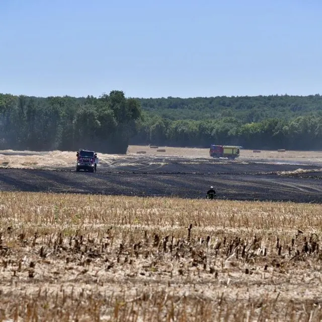 photo 30 hectares de de végétation sont partis en fumée.  ©  co - marie delage