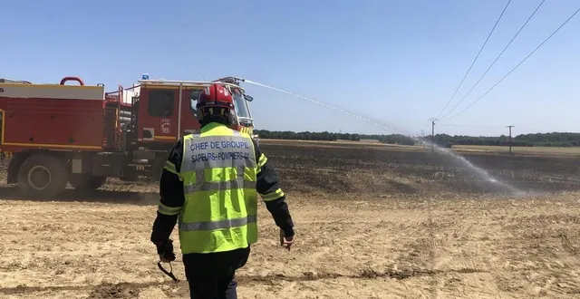 photo  plusieurs champs ont été ravagés par les flammes, jeudi 19 juin 2025, dans l’ouest du maine-et-loire.  &copy;  ouest-france 