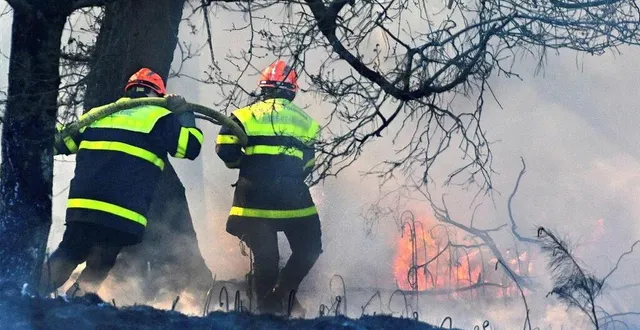 photo  le risque de feux de forêt est élevé, ce vendredi 11 juillet, en maine-et-loire.  &copy;  archives ouest-france 