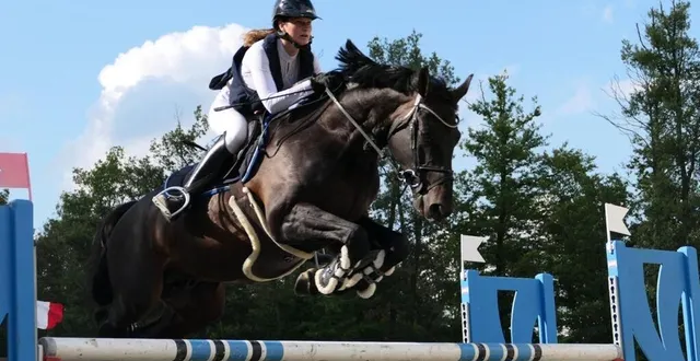 photo  pendant neuf jours, le pôle européen du cheval recevra près de 2000 engagés dans cinq disciplines.  &copy;  archives le maine libre 