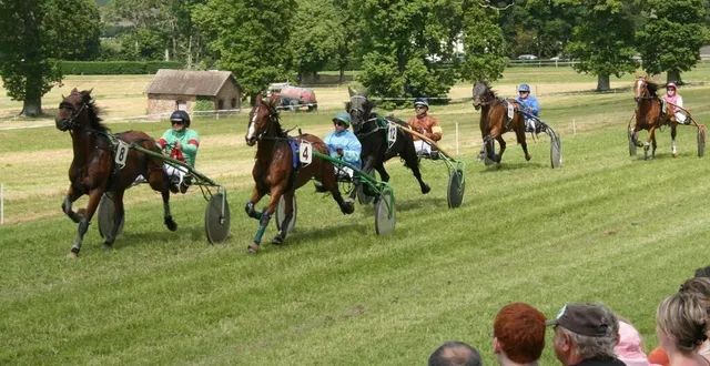 photo  neuf courses de trot sont au programme de ce dimanche à rânes.  &copy;  archives 