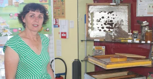 photo  une exposition sur l’apiculture est à découvrir actuellement à la bibliothèque de brain-sur-longuenée.  &copy;  co 