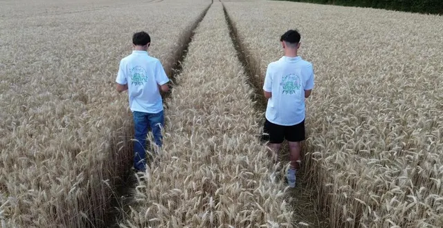 photo  timéo guibert et clément langevin ont pris en main la communication du comice agricole de neuville-sur-sarthe sur les réseaux sociaux.  &copy;  ouest-france 
