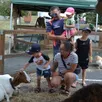 photo  les enfants ont pu approcher au plus près les animaux de la ferme pédagogique, la galinette. 