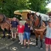 photo  à gauche, robert et colette leroy avec leurs chevaux volga et vadrouille, seront en randonnée équestre avec harrys et annick gonsard (à droite) et leur cheval mistral. 