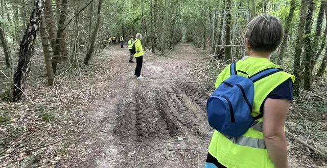 photo  dans la forêt entre silly et le bourg-saint-léonard, une cinquantaine de personnes ratisse le terrain pour retrouver une octogénaire disparue depuis dix-huit heures.  &copy;  ouest-france 