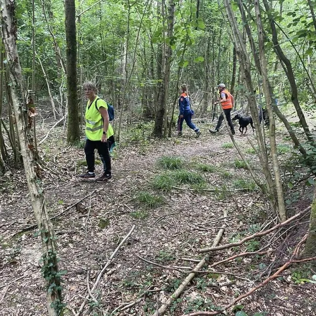 photo les gilets orange de la protection civile et les gilets jaunes des citoyens alignés dans la forêt.  ©  ouest-france