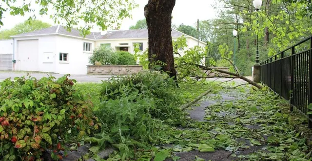 photo  les orages qui ont frappé la normandie ont fait d’importants dégâts. neuf communes ont été déclarées en état de catastrophe naturelle.  &copy;  ouest-france 