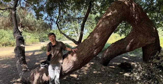 photo  clément le moine, gestionnaire des espaces naturels à l’arche de la nature présente un arbre remarquable qui a poussé à l’horizontal pour fuir l’ombre d’un chêne voisin.  &copy;  ouest-france 
