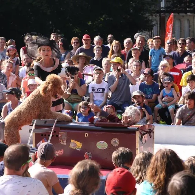 photo les arts de la rue ont de nouveau investi flers.  ©  ville de flers